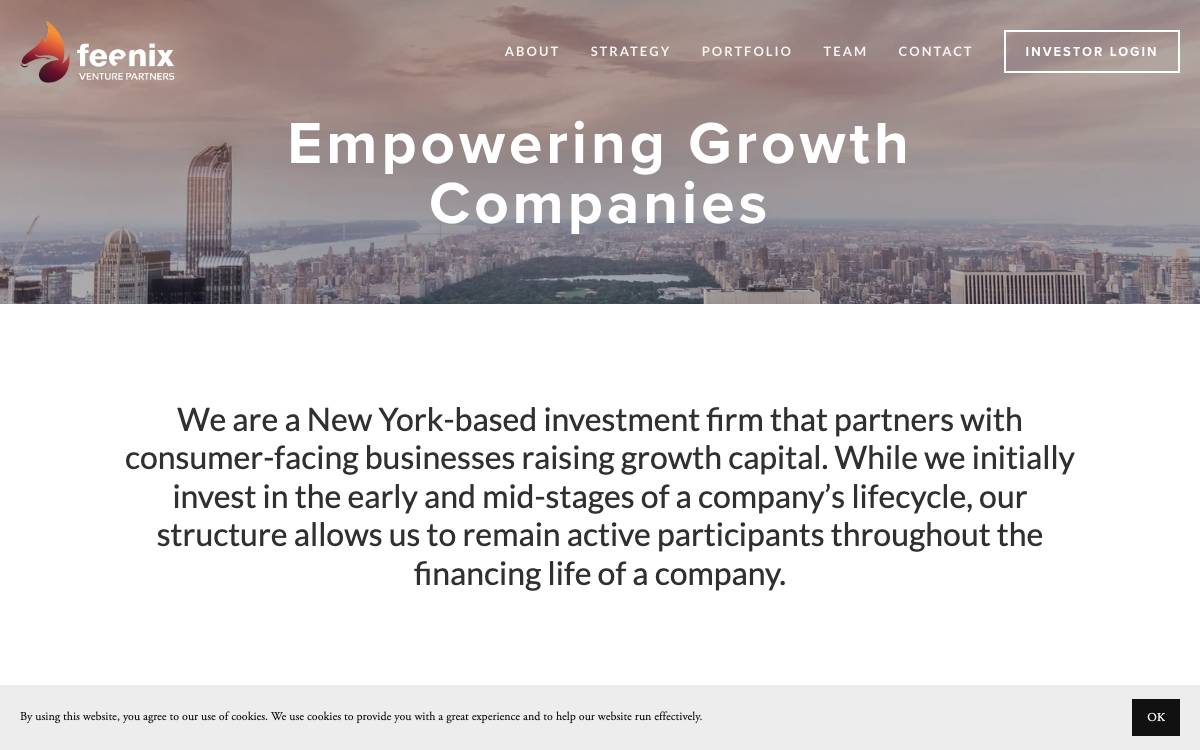 Feenix Venture Partners LLC website preview