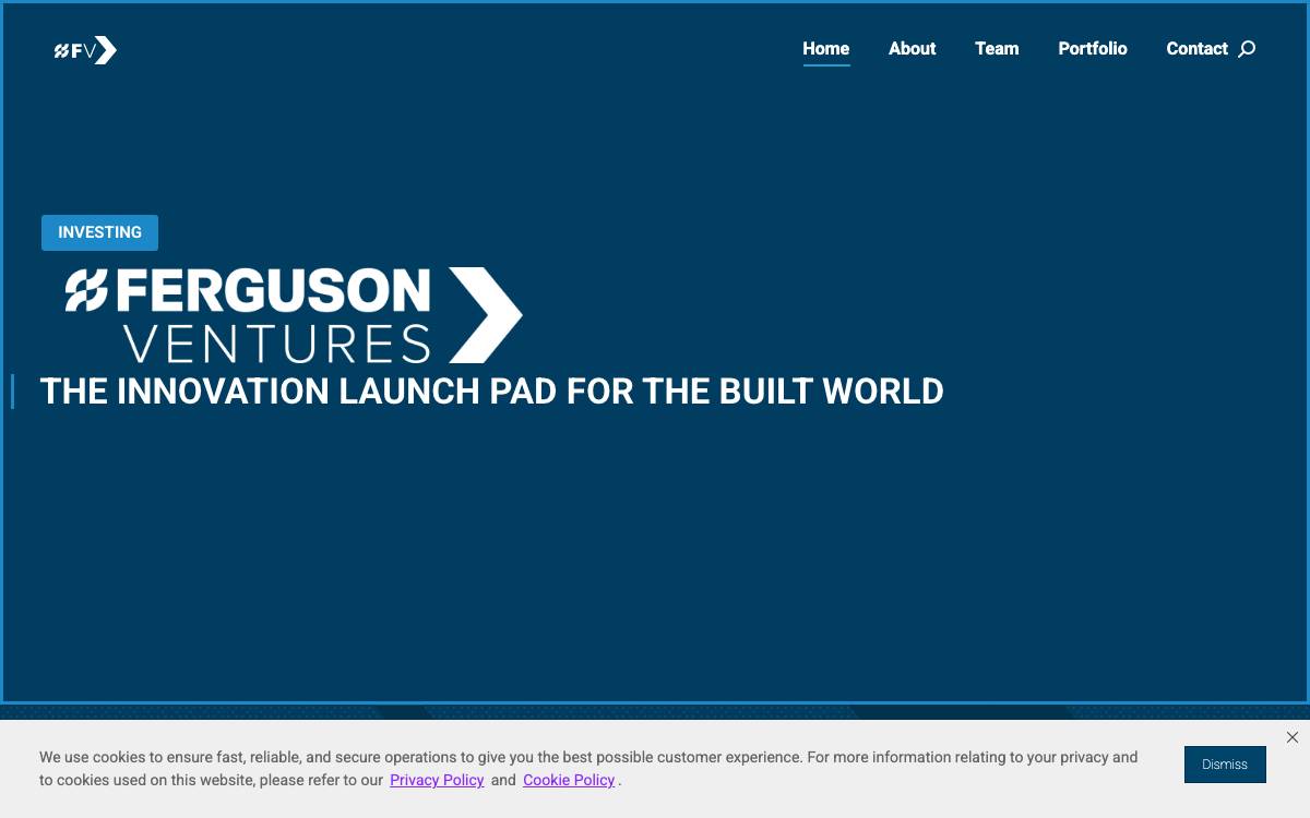 Ferguson Ventures website preview