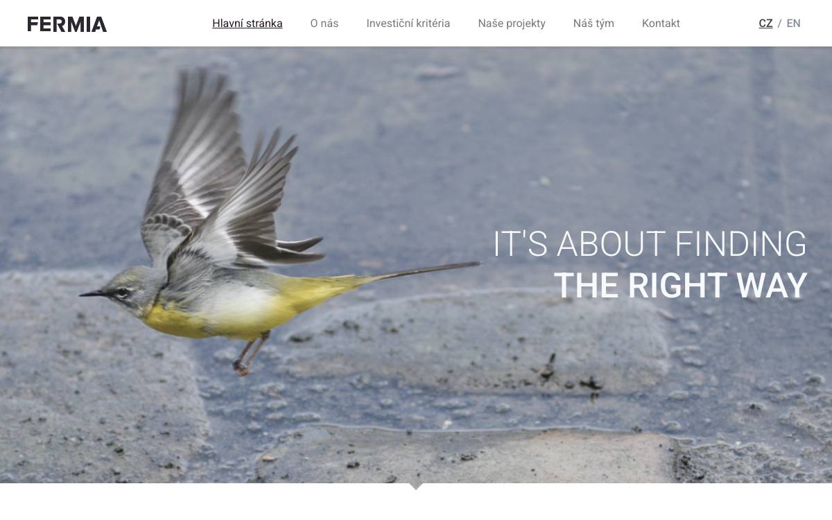 Fermia website preview