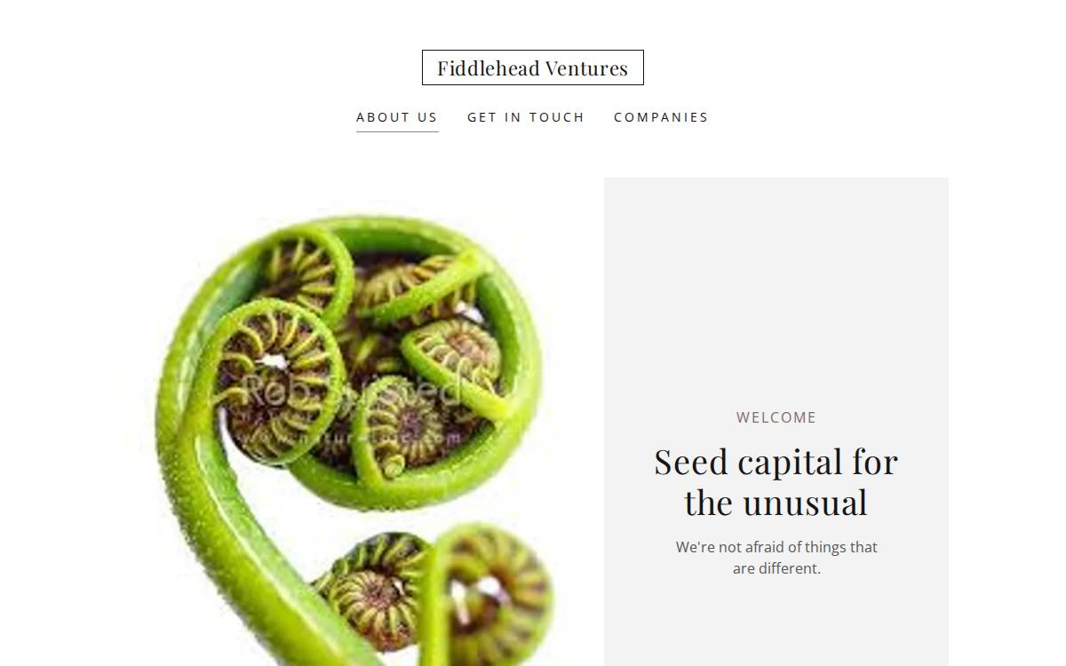Fiddlehead Ventures website preview