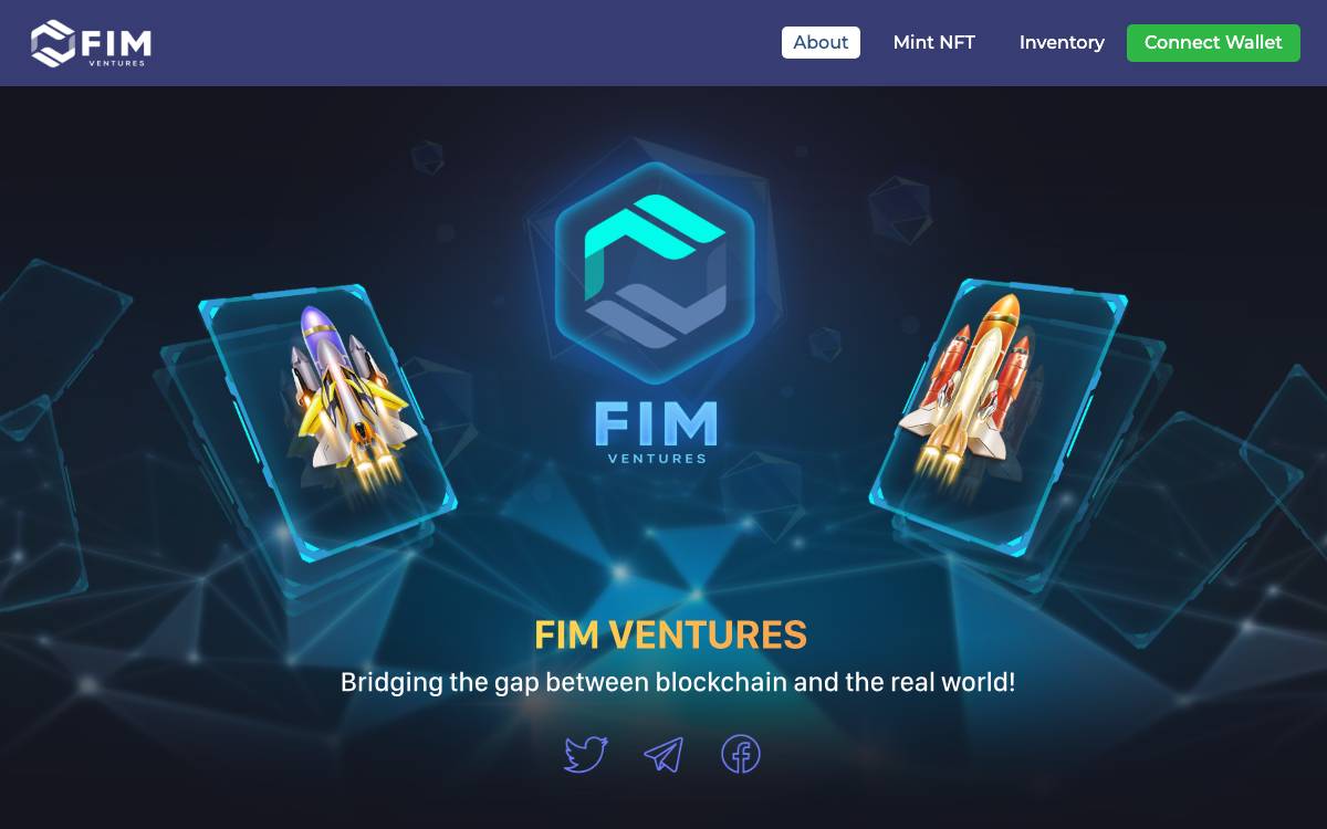 FIM Ventures website preview