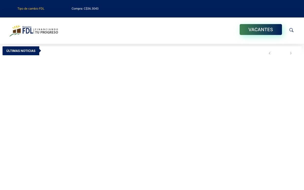 Financiera FDL website preview