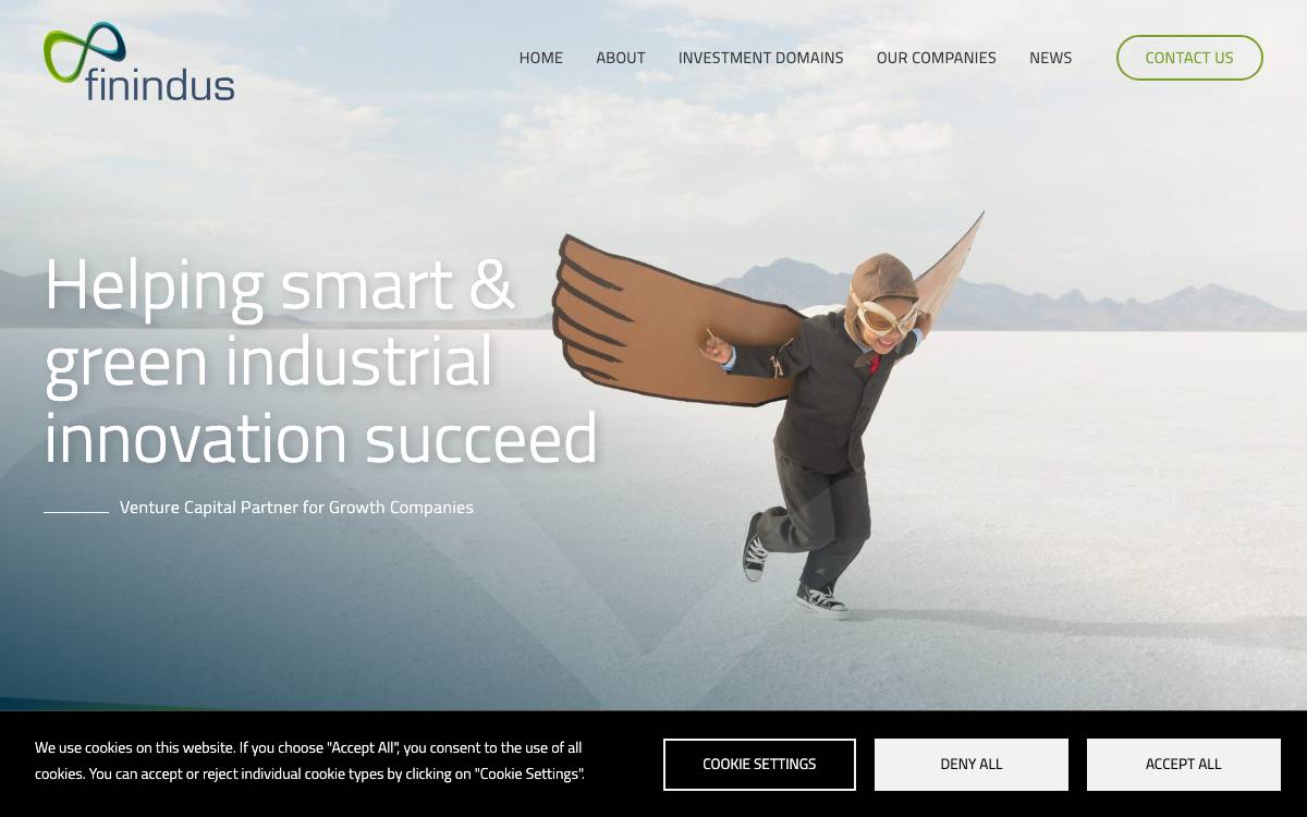 Finindus website preview