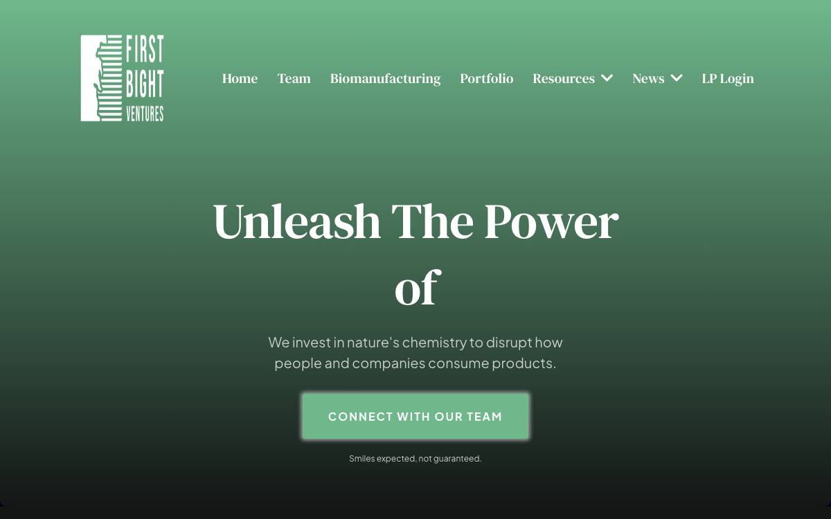 First Bight Ventures website preview