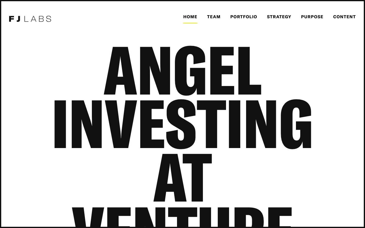 FJ Labs website preview