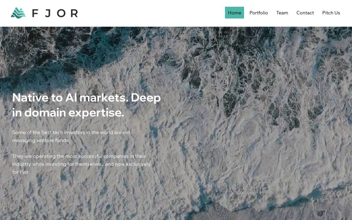 Fjor Founders website preview