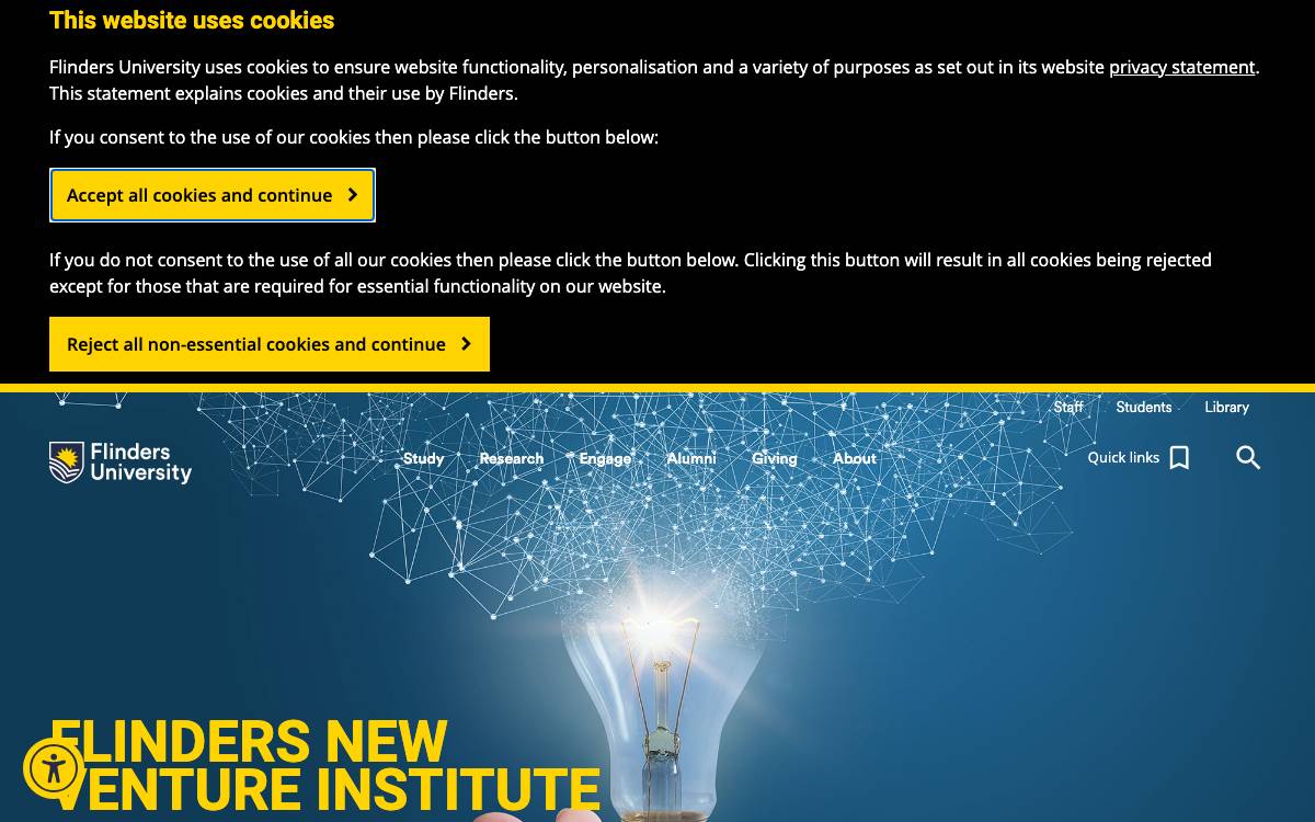 Flinders NVI website preview