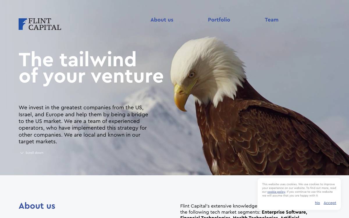 Flint Capital website preview