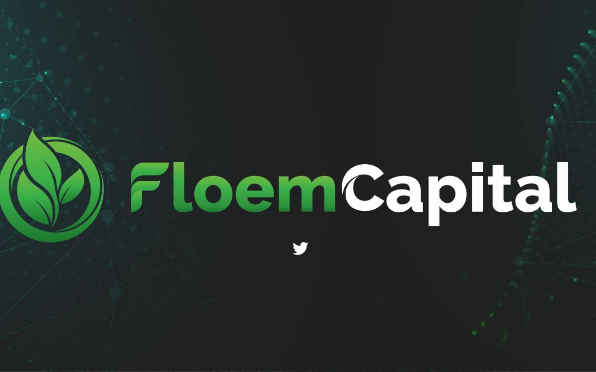 Floem Capital website preview