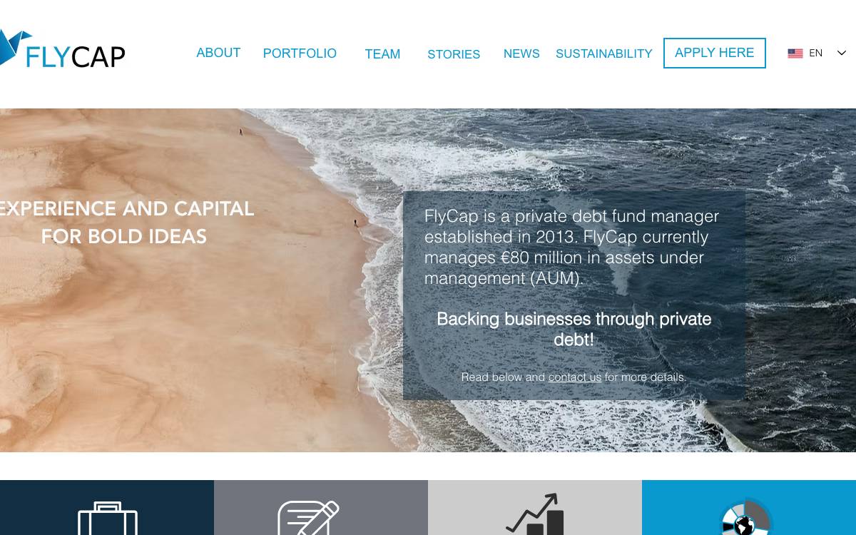 FlyCap website preview