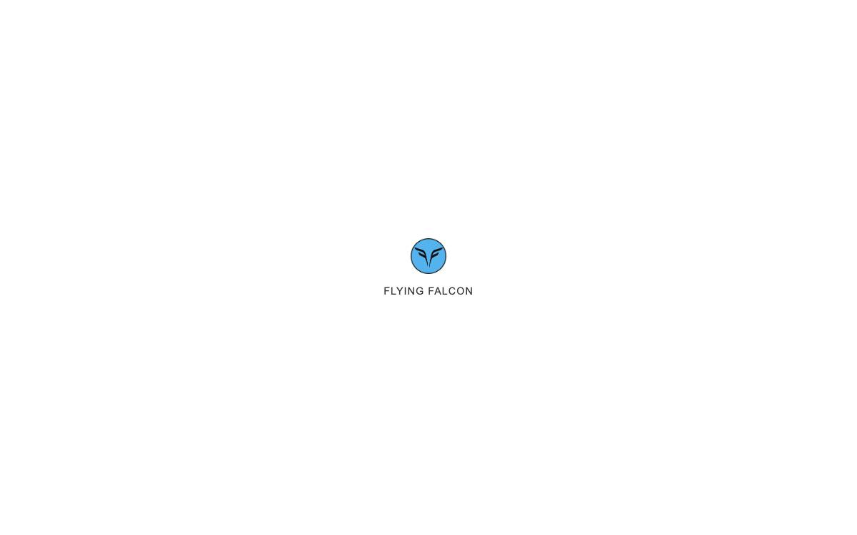 Flying Falcon website preview
