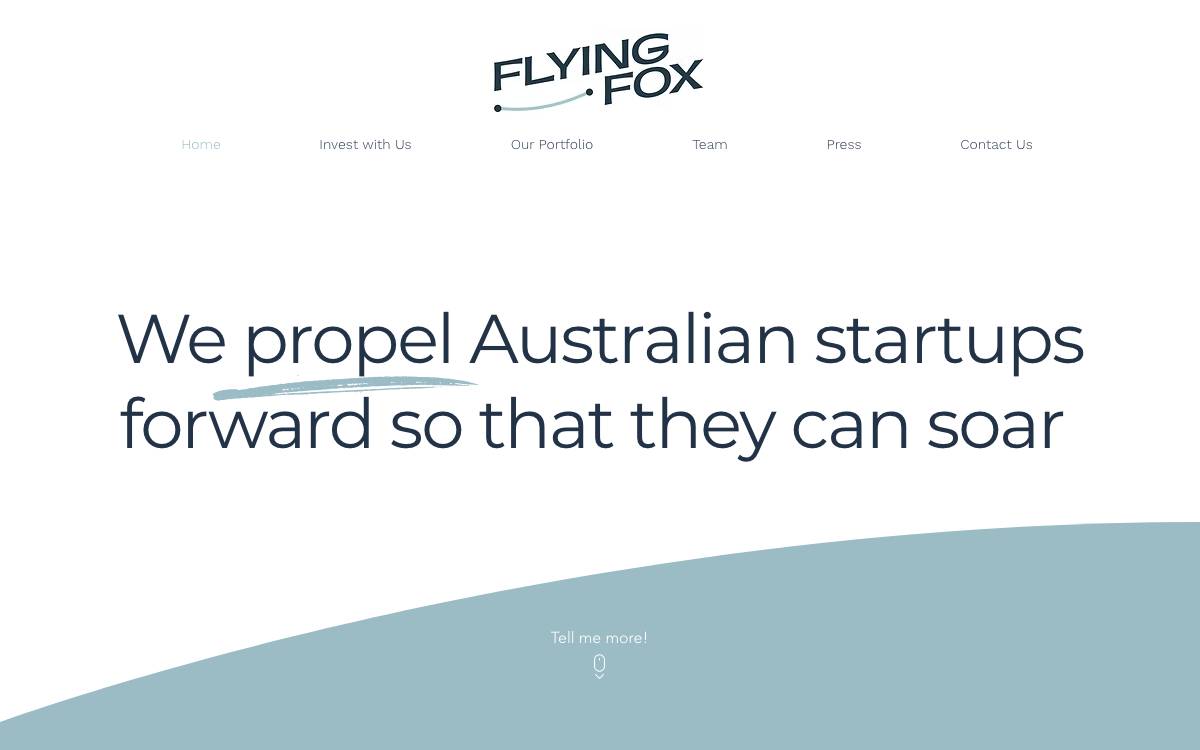 Flying Fox Ventures website preview