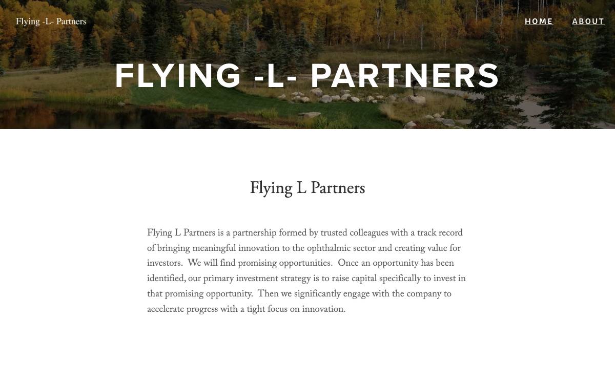 Flying L Partners website preview