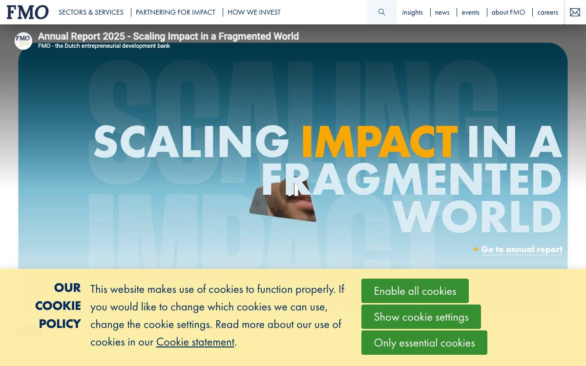 FMO website preview