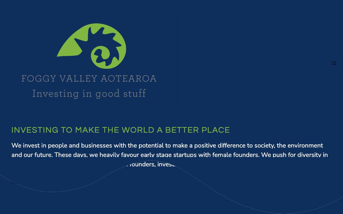 Foggy Valley website preview