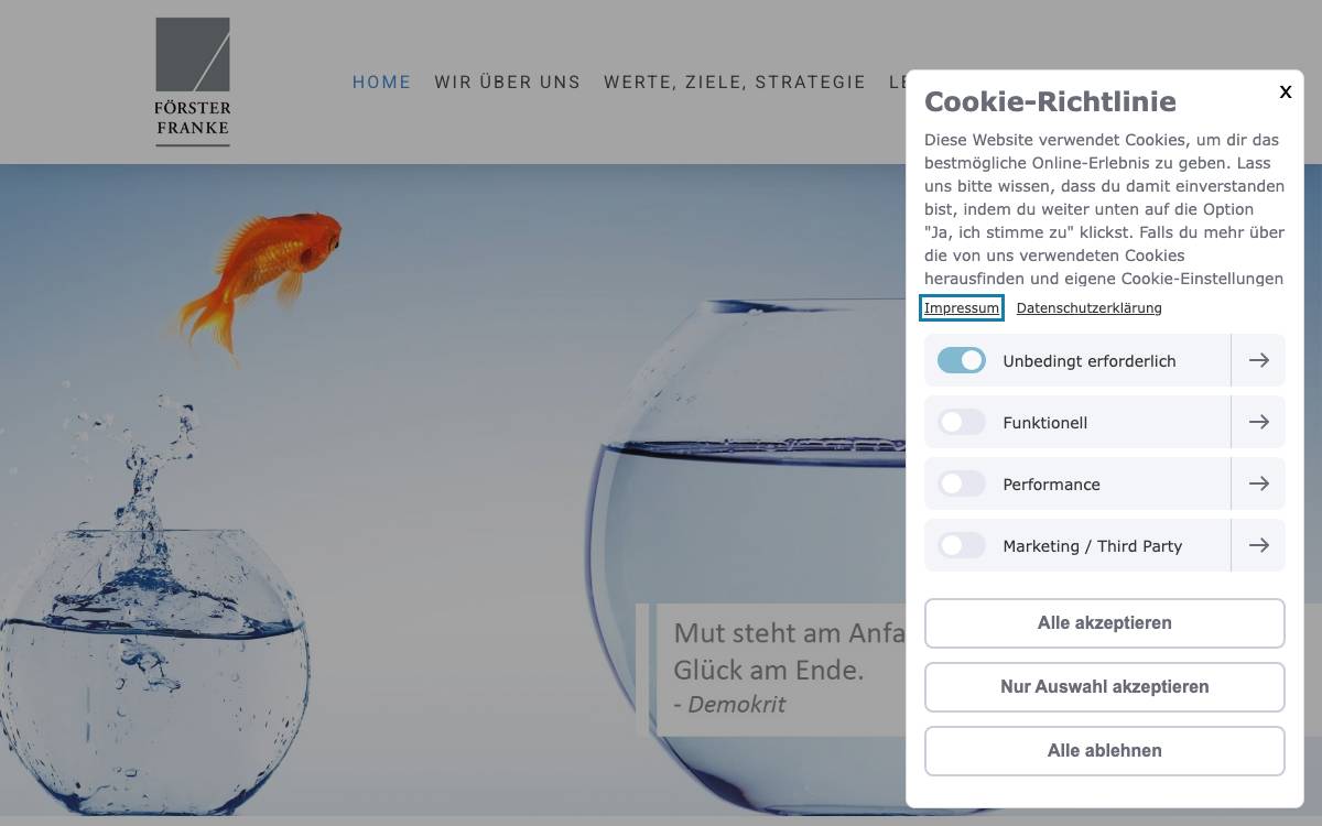 FÖRSTER UND FRANKE GmbH & Co. KG website preview