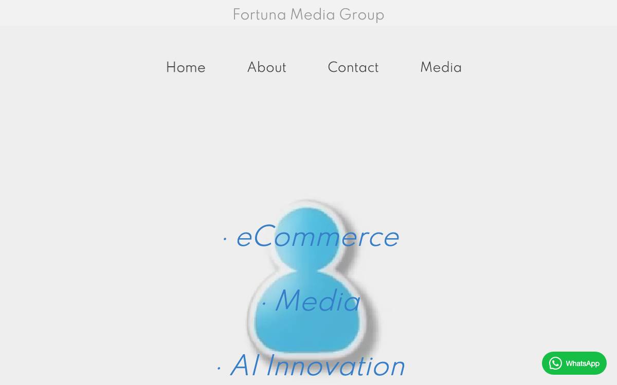 Fortuna Media Group website preview