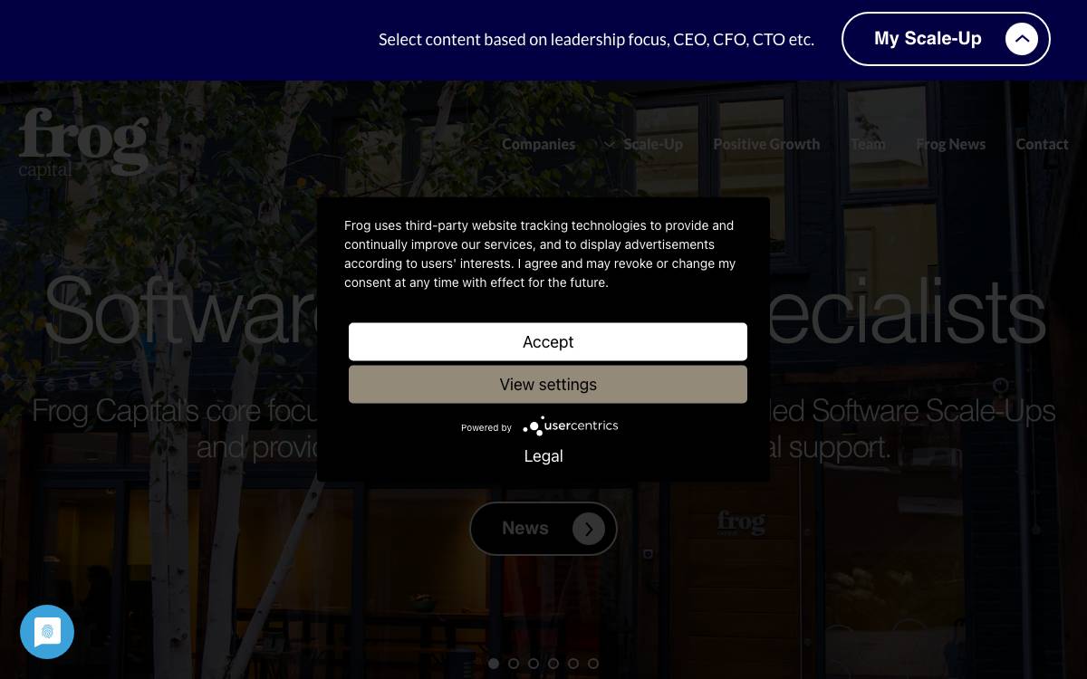 Frog Capital website preview