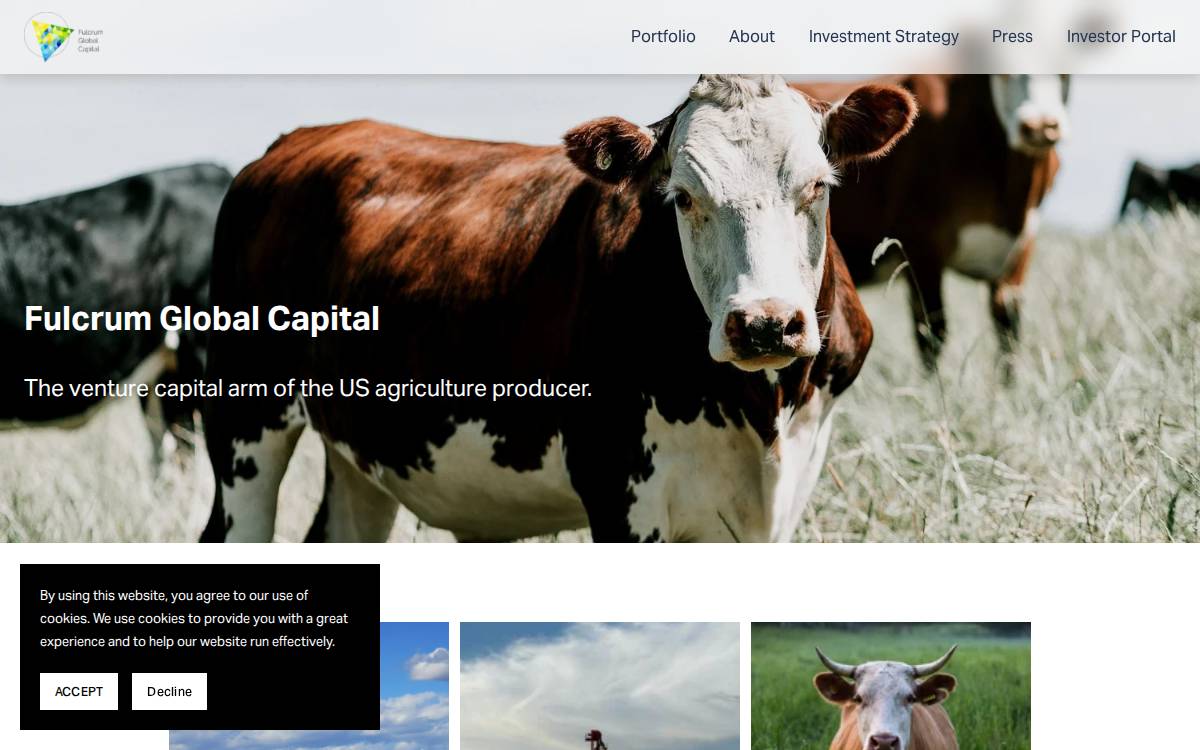 Fulcrum Global Capital website preview