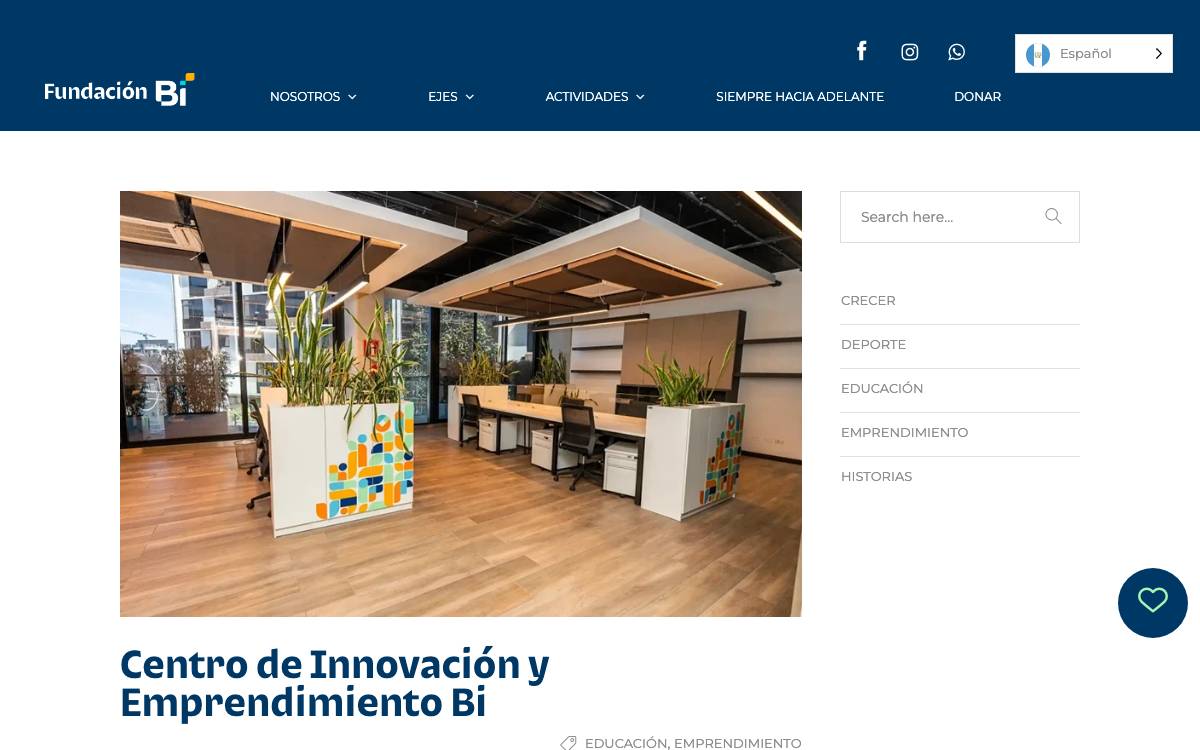 Fundación Bi website preview