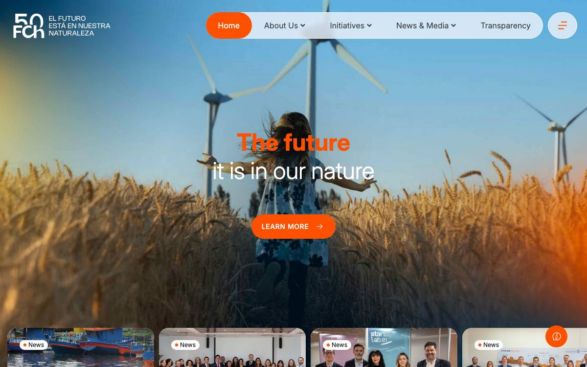 Fundación Chile website preview
