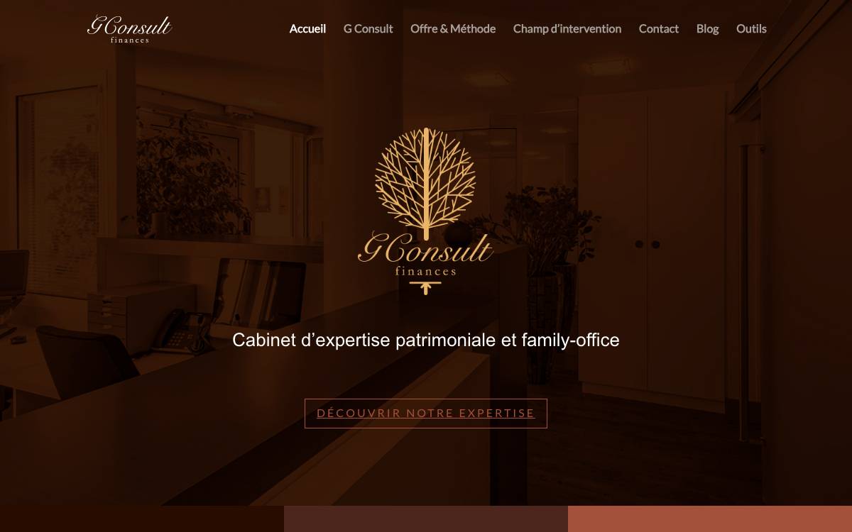 G Consult Finances website preview