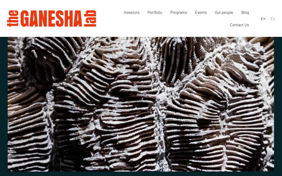 Ganesha Lab website preview