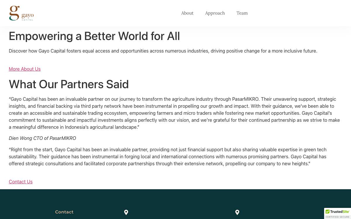 Gayo Capital website preview