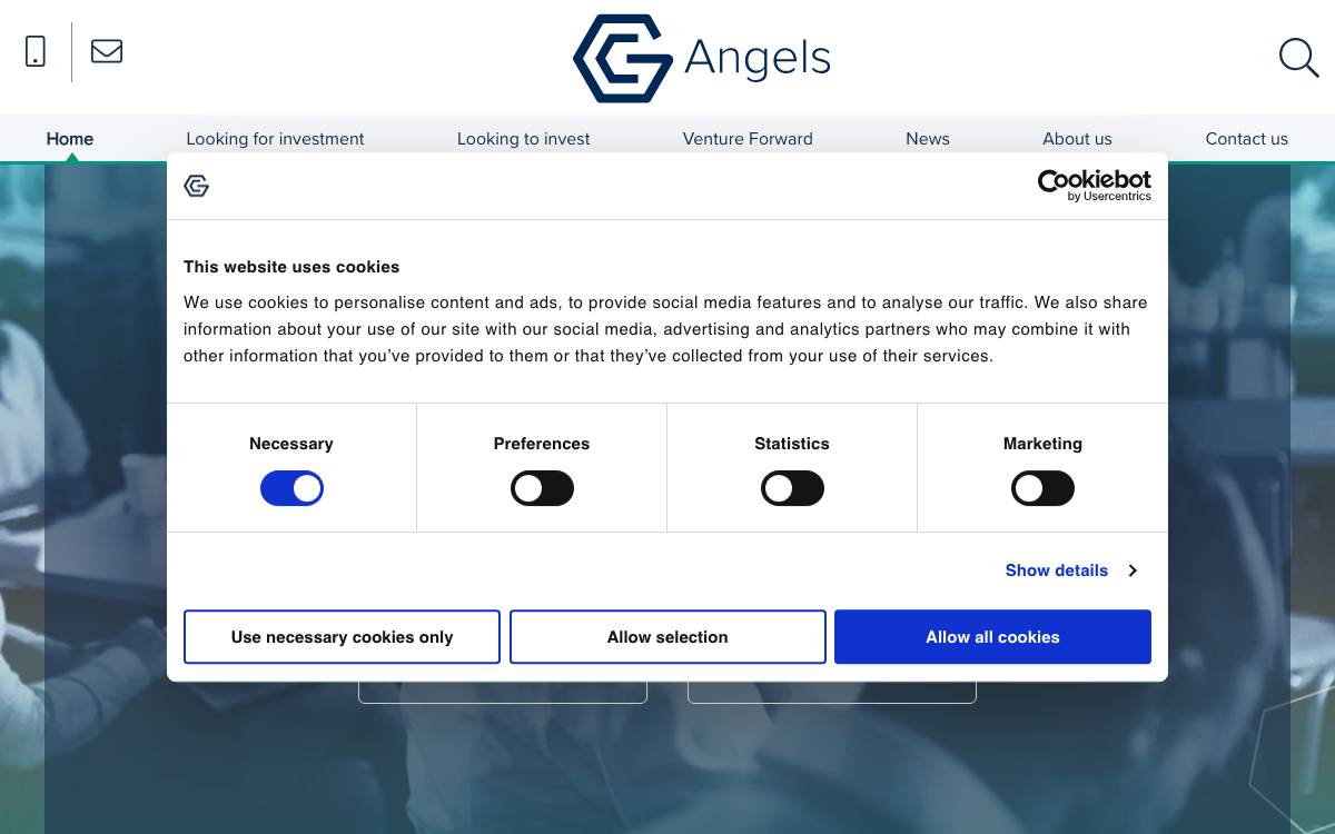 GC Angels website preview
