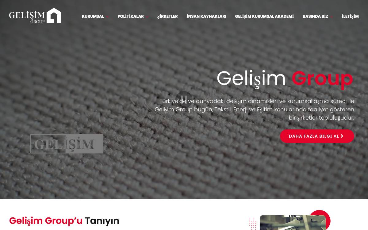 Gelisim Group website preview