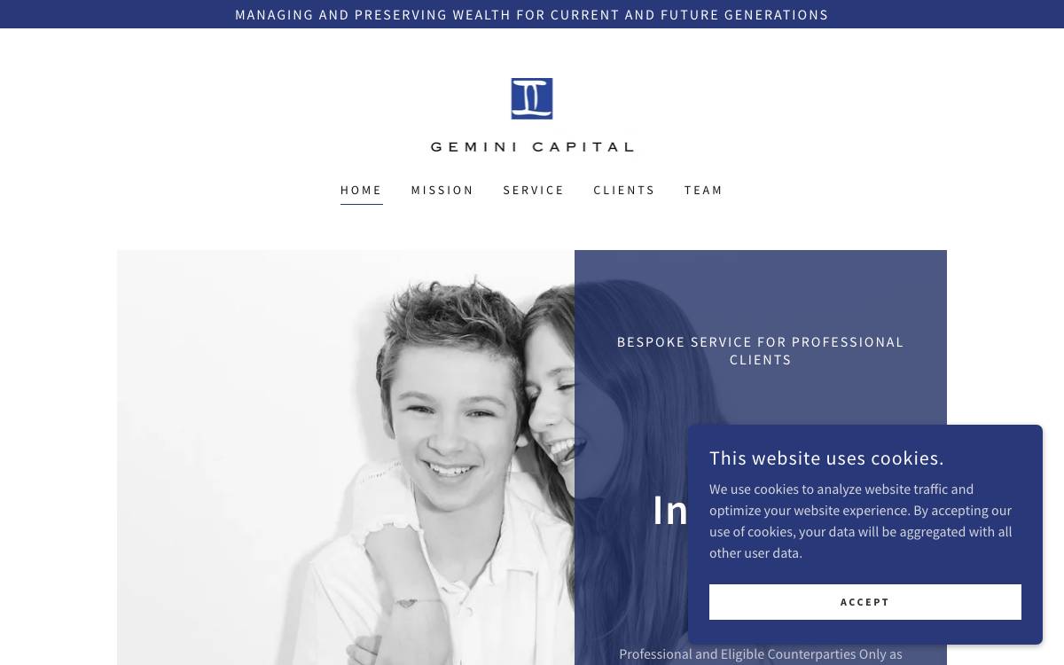 Gemini Capital website preview