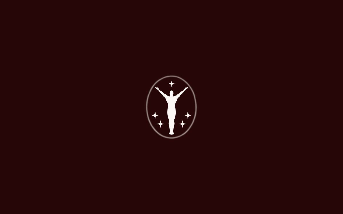 Genius Ventures website preview