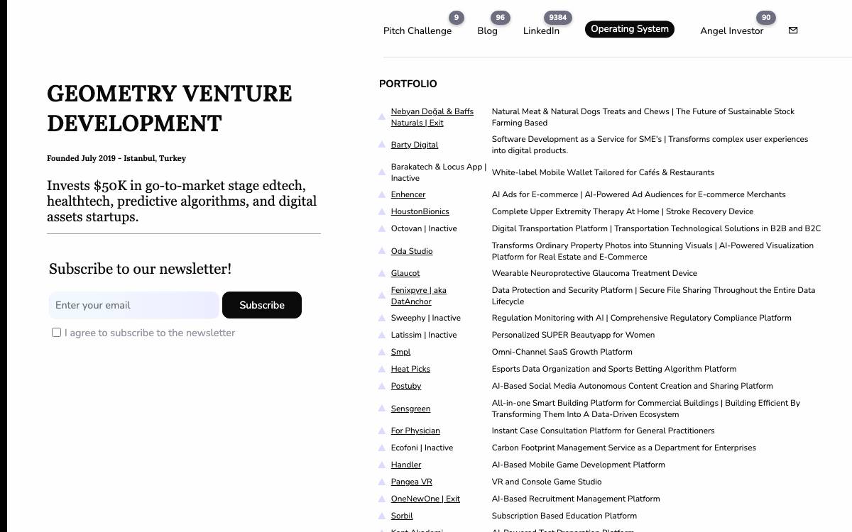 Geometry Venture Development website preview