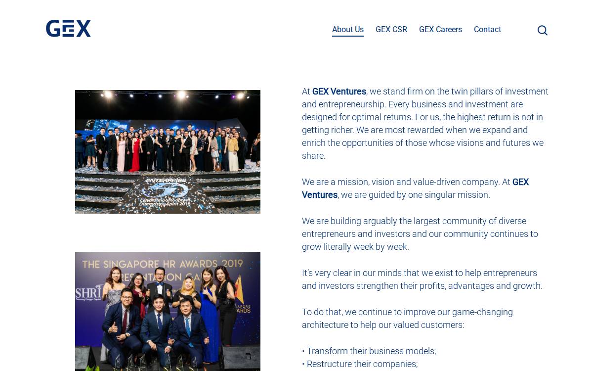 GEX Ventures website preview