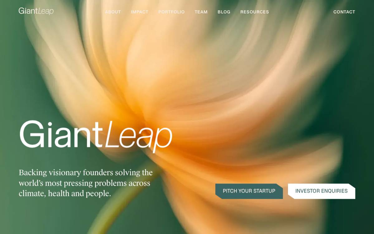 Giant Leap website preview
