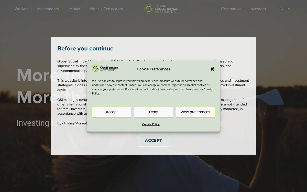 Global Social Impact Investment website preview