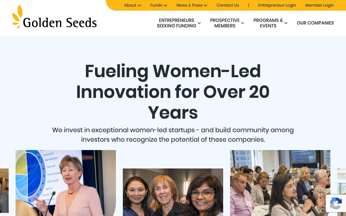 Golden Seeds website preview