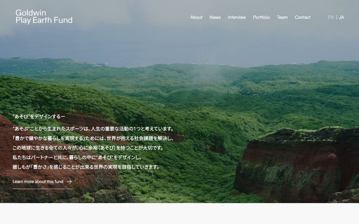GOLDWIN VENTURE PARTNERS website preview