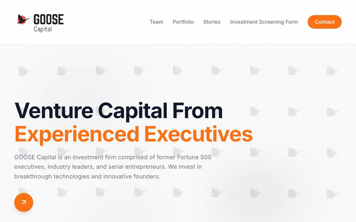 GOOSE Capital website preview