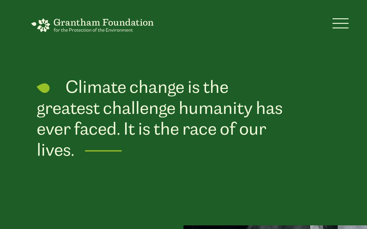 Grantham Foundation website preview