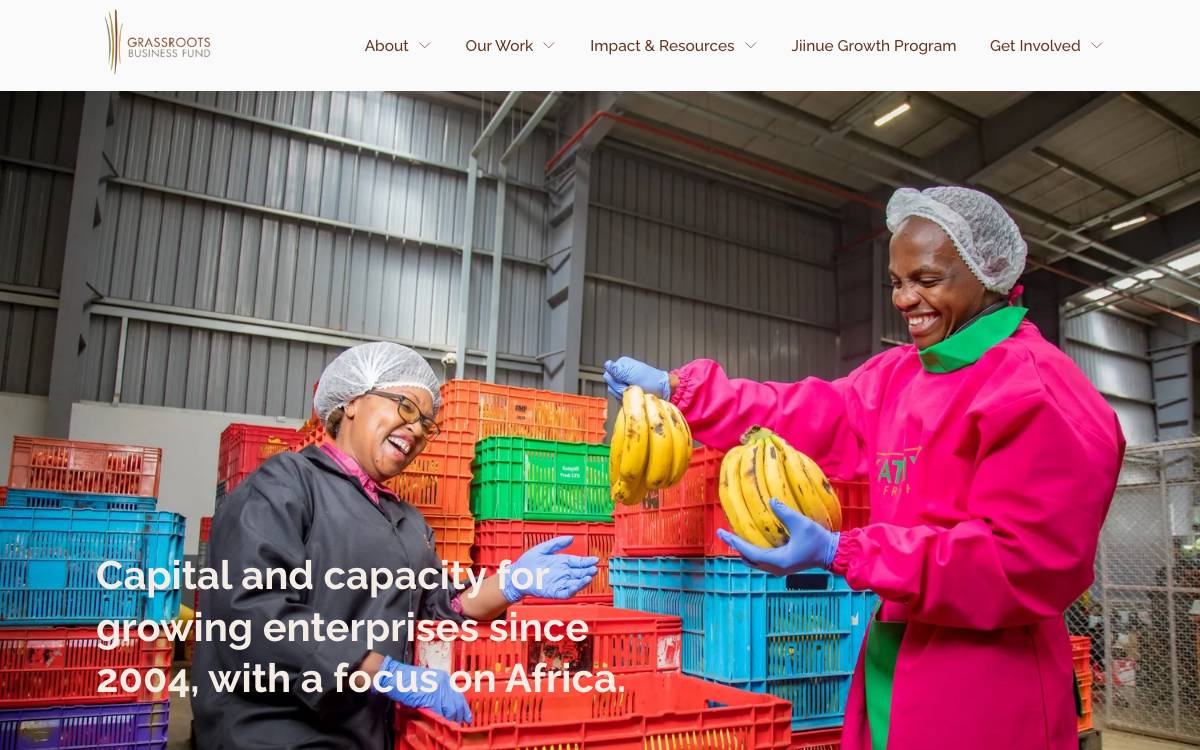 Grassroots Business Fund website preview