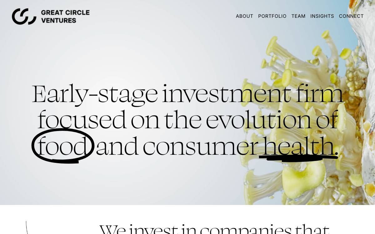 Great Circle Ventures website preview
