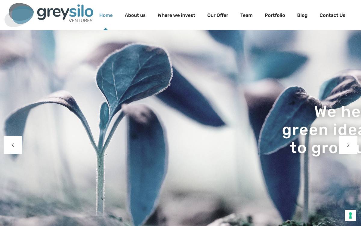 Grey Silo Ventures website preview