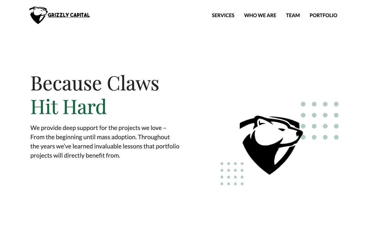 Grizzly Capital website preview