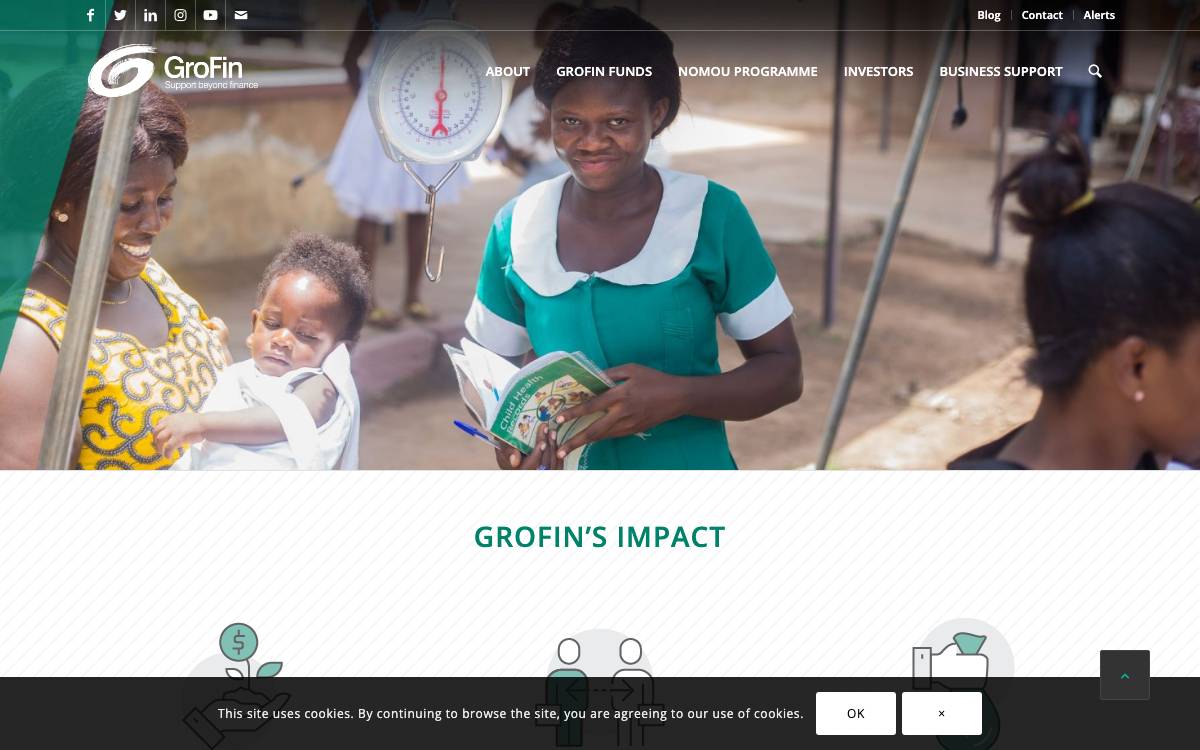 GroFin website preview