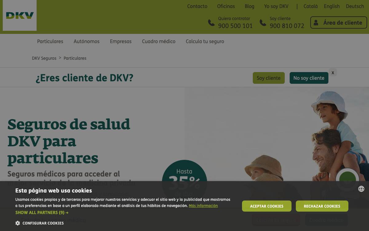 Grupo DKV website preview