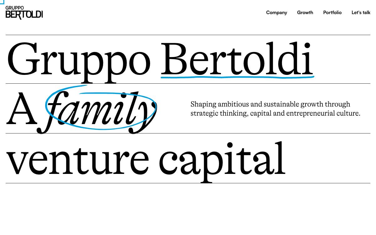 Gruppo Bertoldi website preview