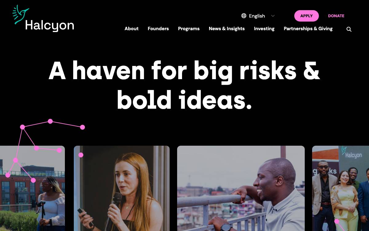 Halcyon website preview