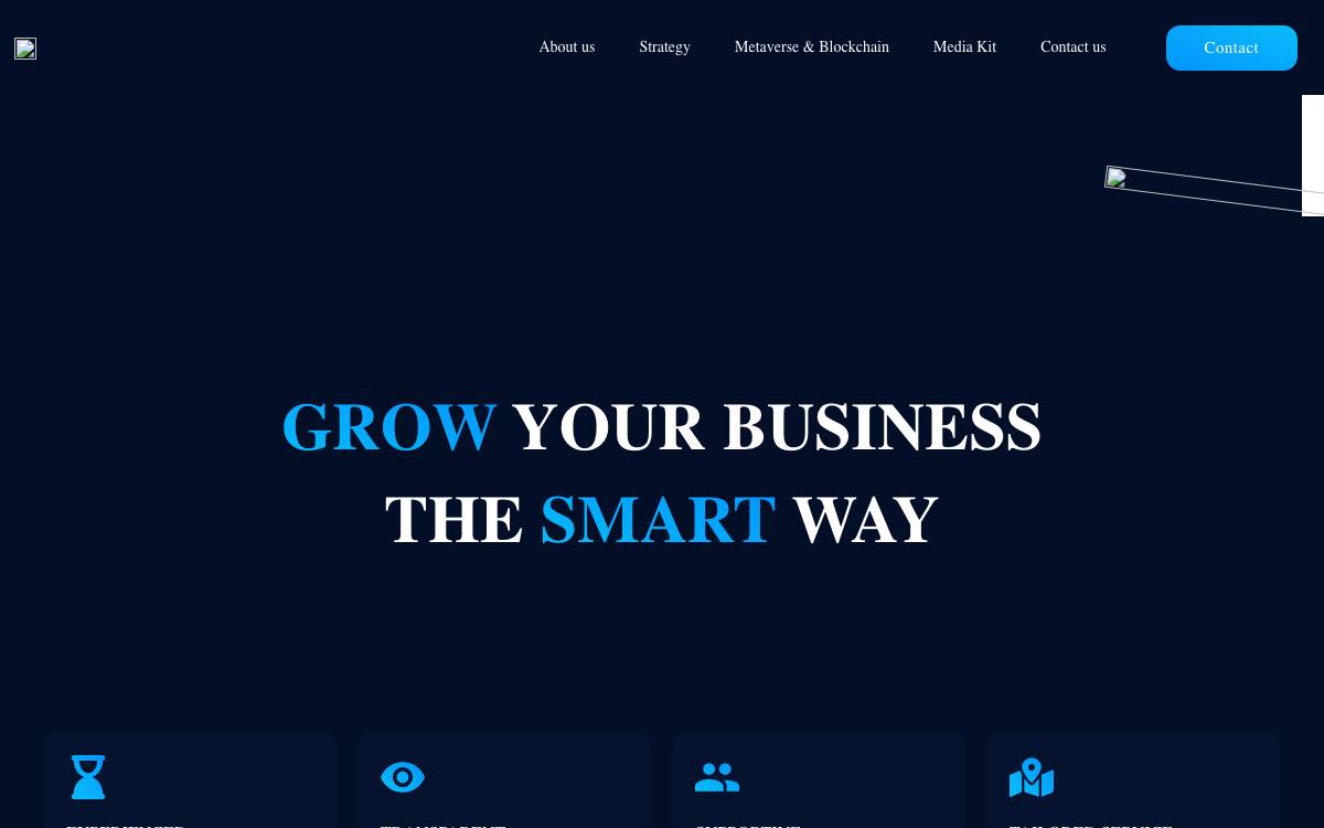 Hasu Capital website preview