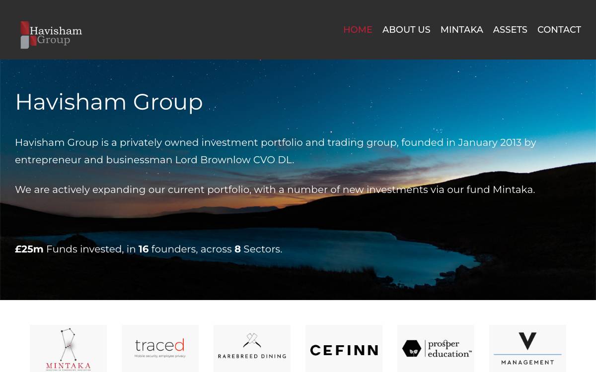Havisham Group website preview